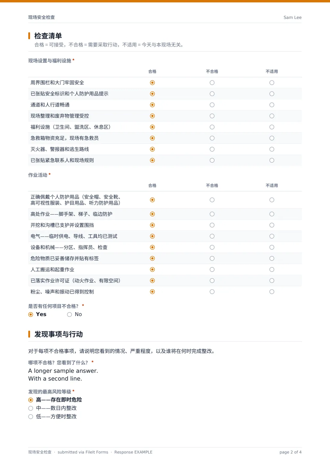 现场安全检查 — 示例回复 PDF，第 2 页，共 4 页