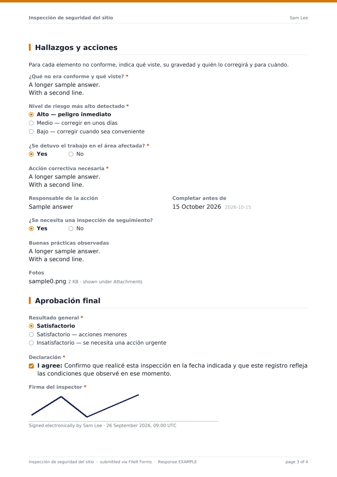 Inspección de seguridad del sitio — PDF de respuesta de ejemplo, página 3 de 4