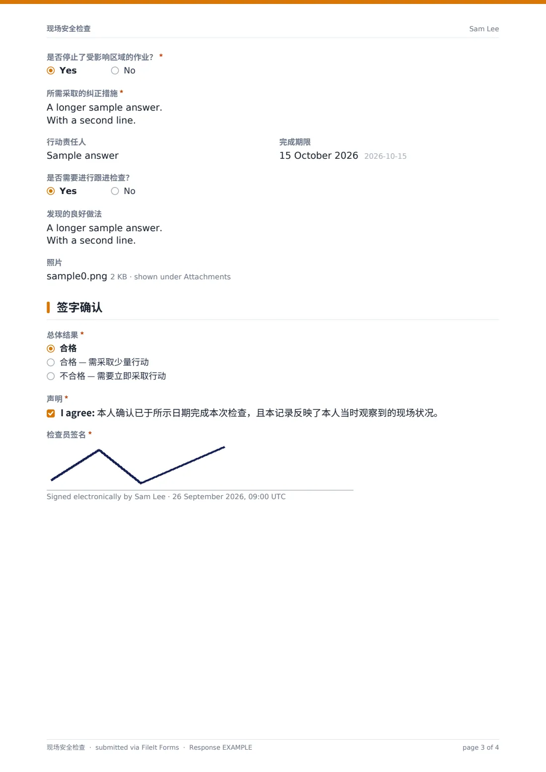 现场安全检查 — 示例回复 PDF，第 3 页，共 4 页