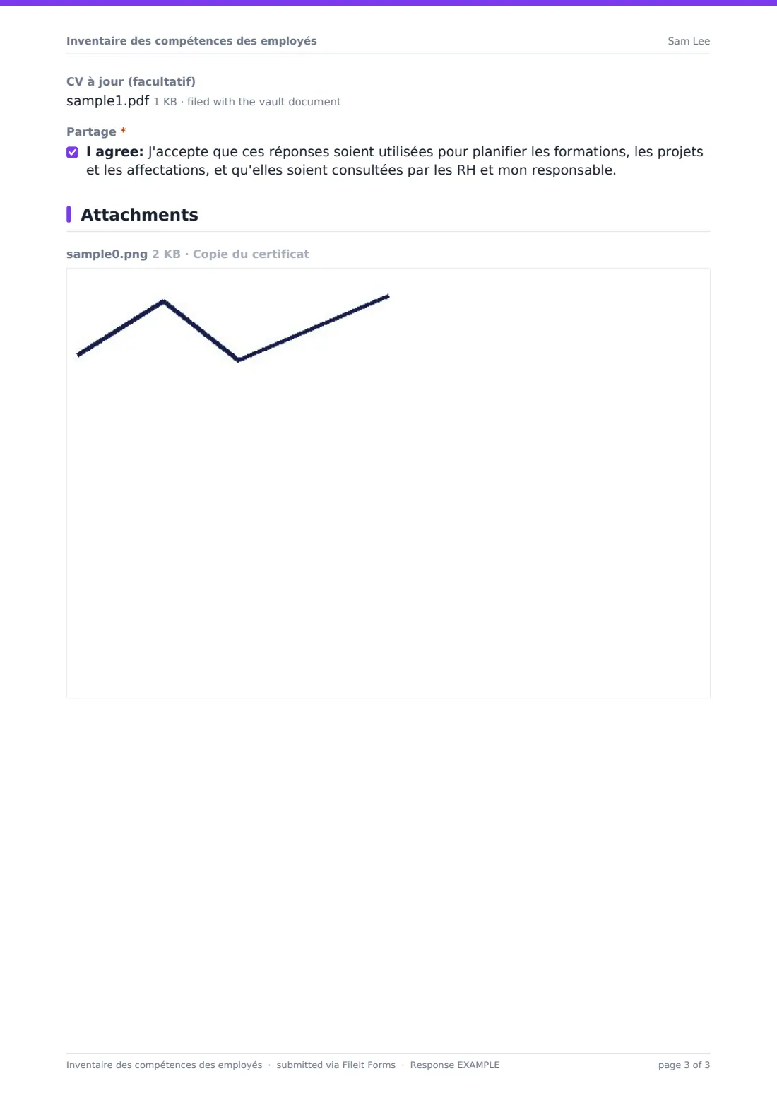 Inventaire des compétences des employés — exemple de réponse au format PDF, page 3 sur 3
