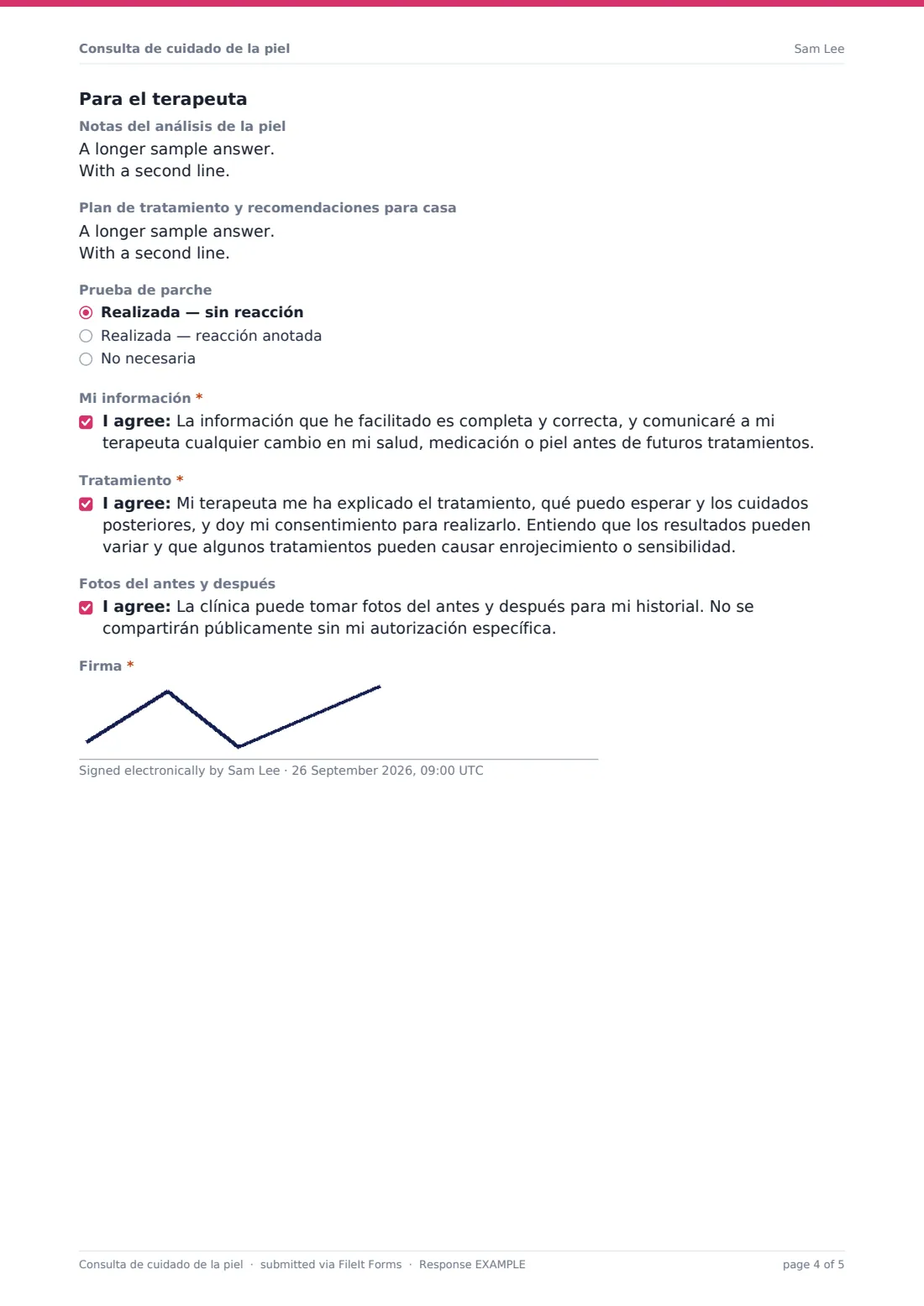 Consulta de cuidado de la piel — PDF de respuesta de ejemplo, página 4 de 5