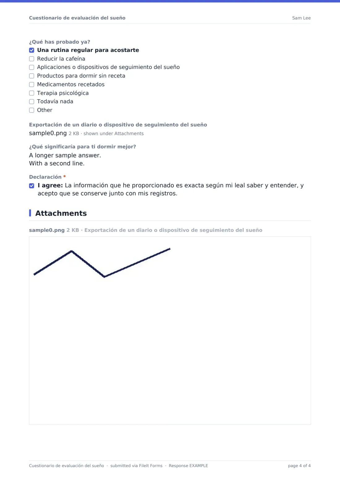 Cuestionario de evaluación del sueño — PDF de respuesta de ejemplo, página 4 de 4