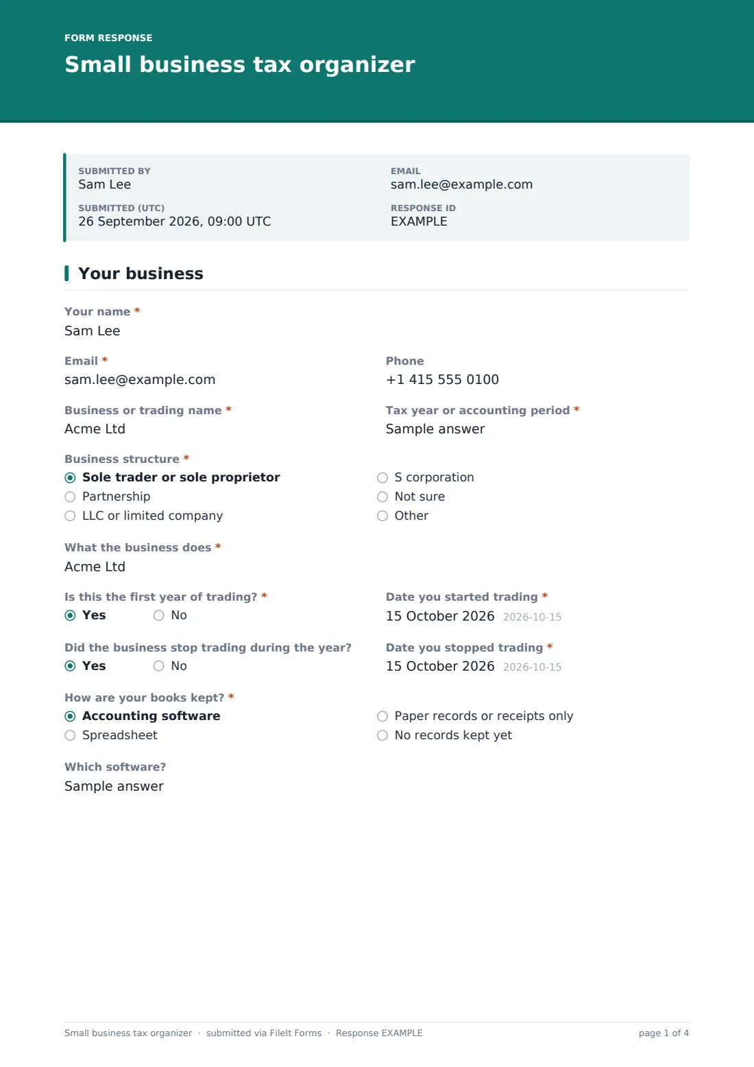 Small business tax organizer — example response PDF, page 1 of 4