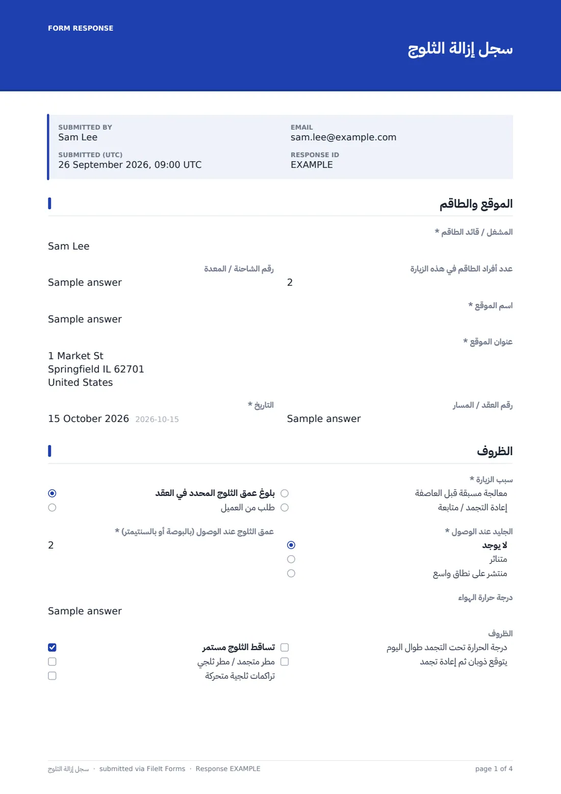 سجل إزالة الثلوج — ملف PDF لرد نموذجي، الصفحة 1 من 4