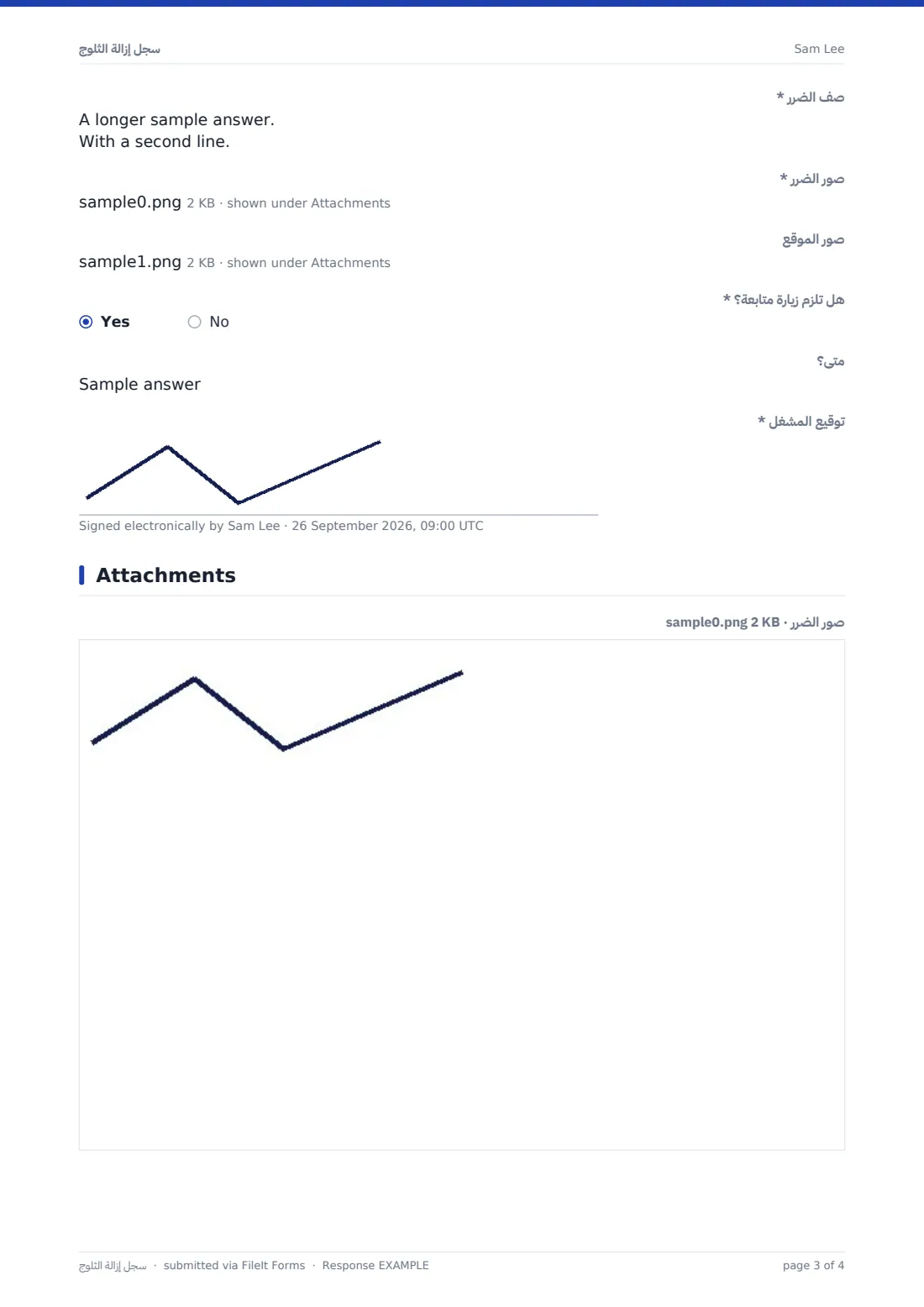 سجل إزالة الثلوج — ملف PDF لرد نموذجي، الصفحة 3 من 4