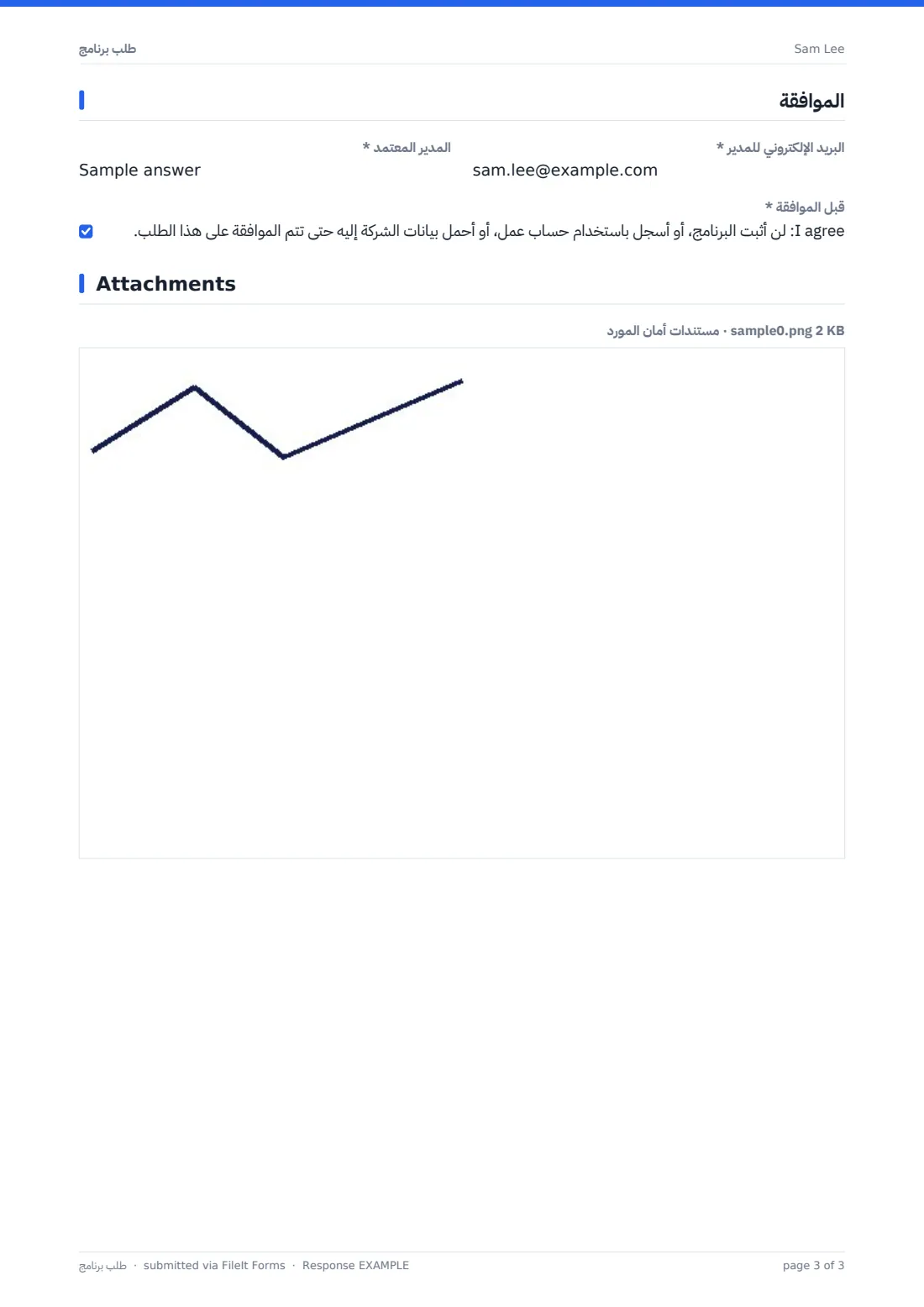طلب برنامج — ملف PDF لرد نموذجي، الصفحة 3 من 3