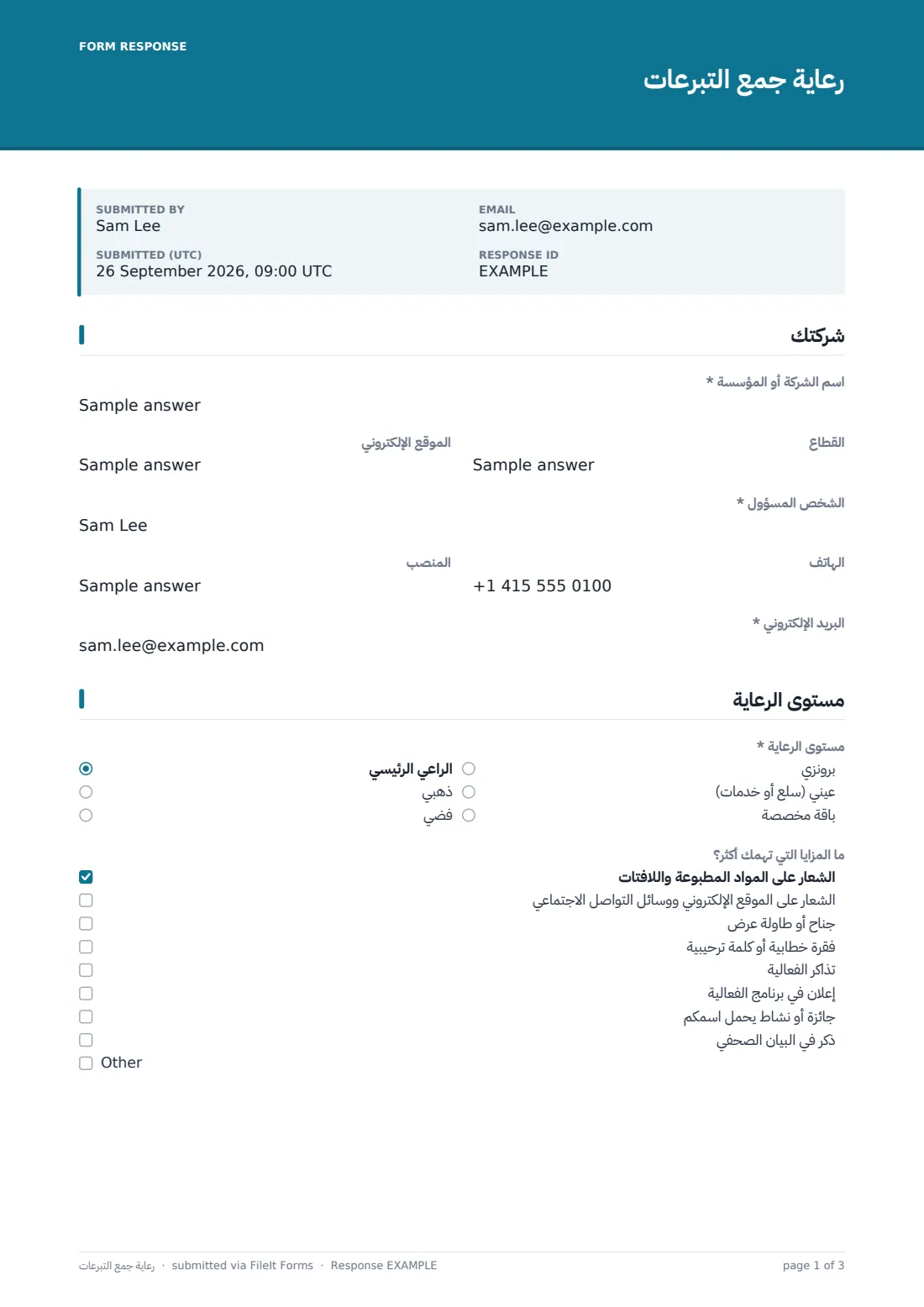رعاية جمع التبرعات — ملف PDF لرد نموذجي، الصفحة 1 من 3