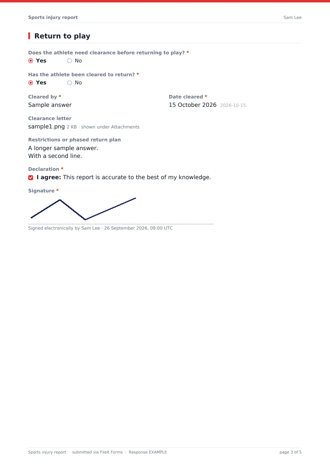 Sports injury report — example response PDF, page 3 of 5