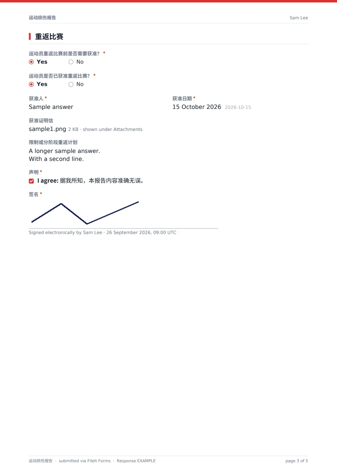 运动损伤报告 — 示例回复 PDF，第 3 页，共 5 页