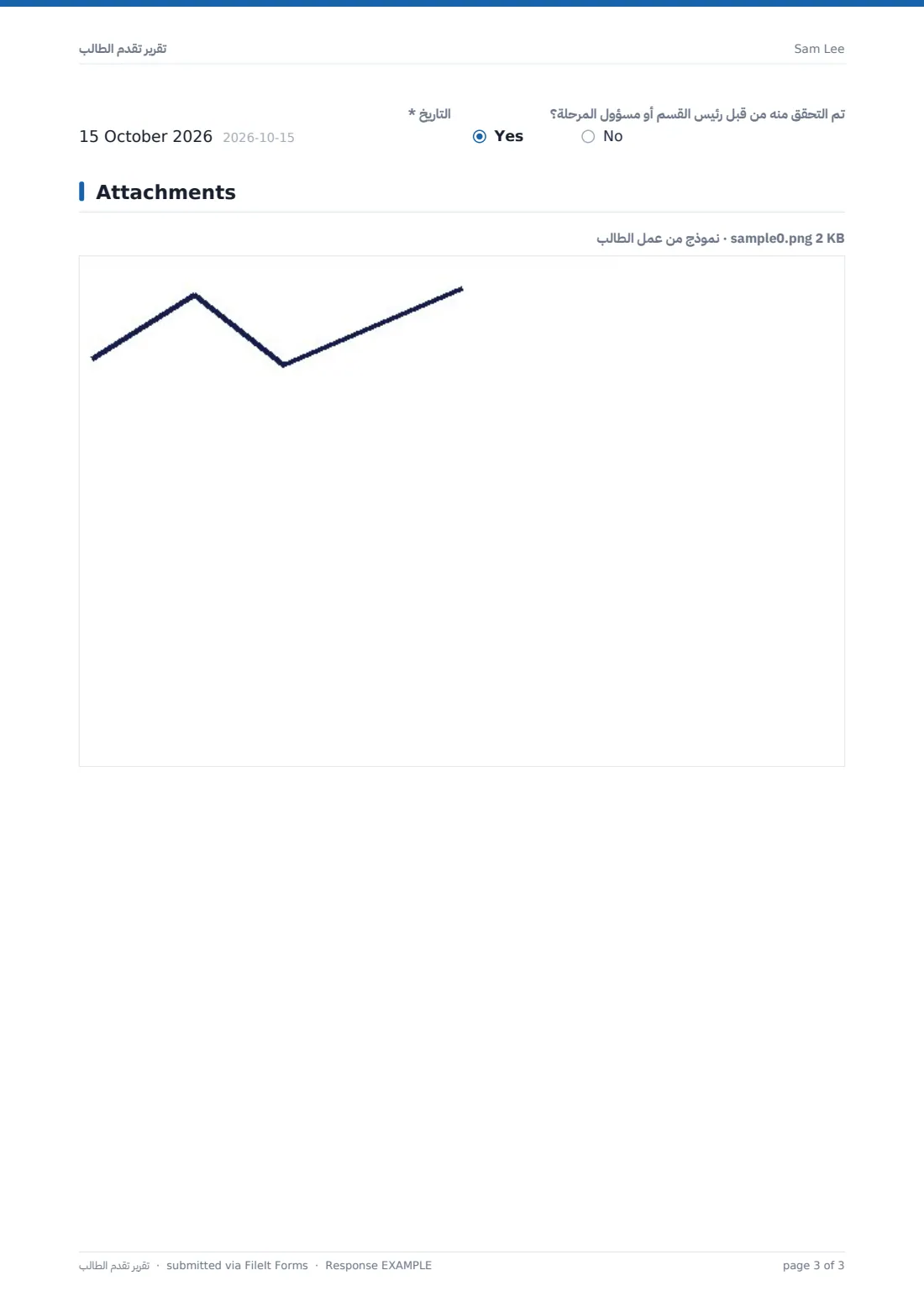 تقرير تقدم الطالب — ملف PDF لرد نموذجي، الصفحة 3 من 3