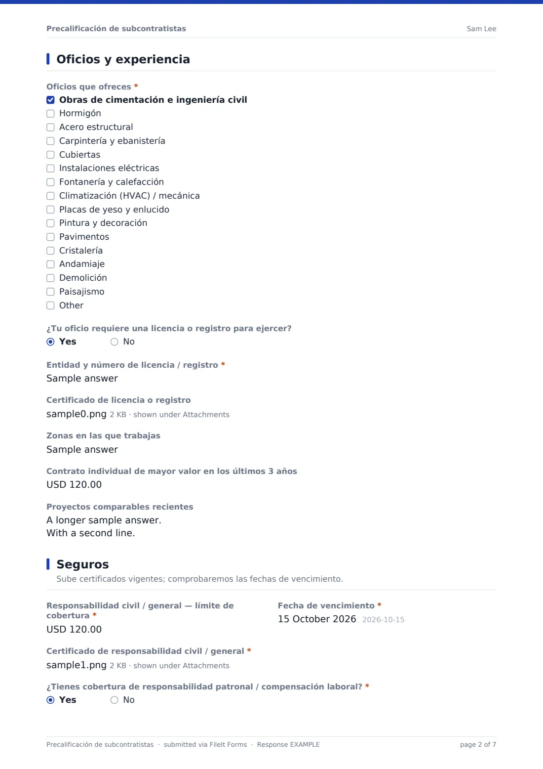 Precalificación de subcontratistas — PDF de respuesta de ejemplo, página 2 de 7