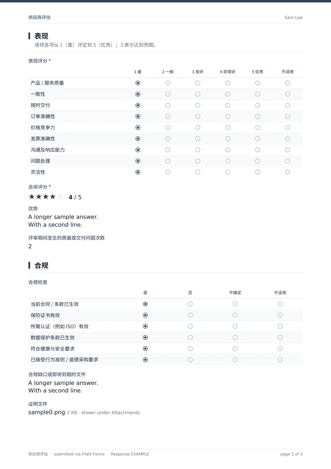 供应商评估 — 示例回复 PDF，第 2 页，共 3 页
