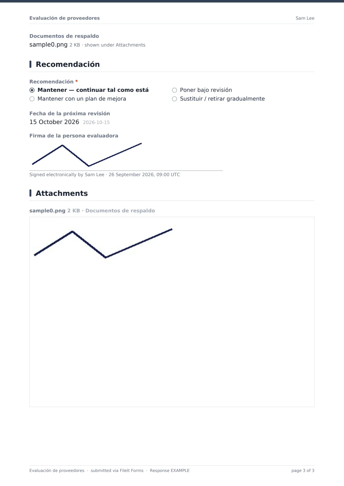 Evaluación de proveedores — PDF de respuesta de ejemplo, página 3 de 3