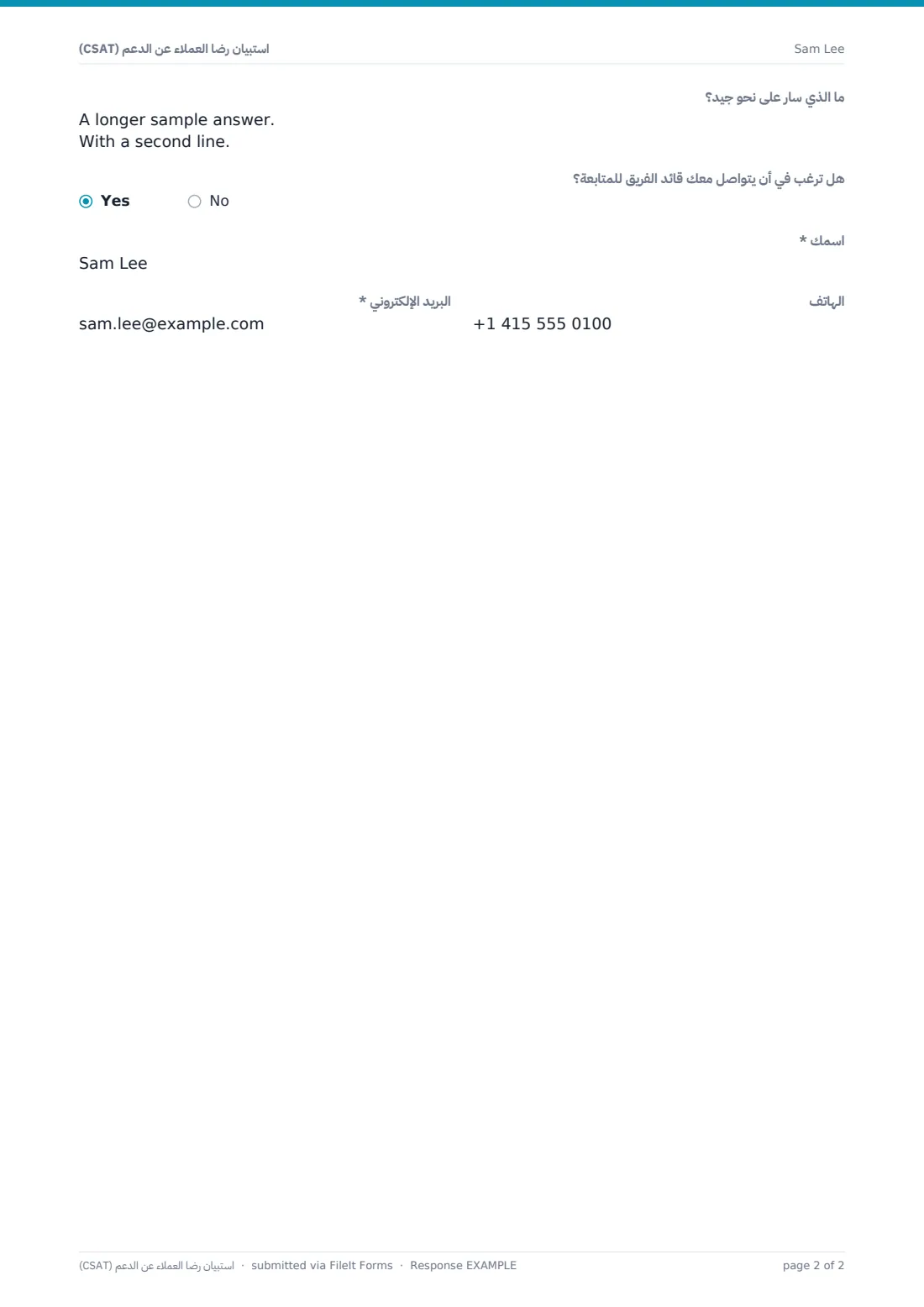 استبيان رضا العملاء عن الدعم (CSAT) — ملف PDF لرد نموذجي، الصفحة 2 من 2