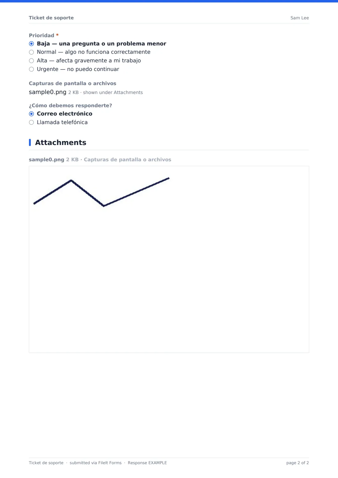 Ticket de soporte — PDF de respuesta de ejemplo, página 2 de 2