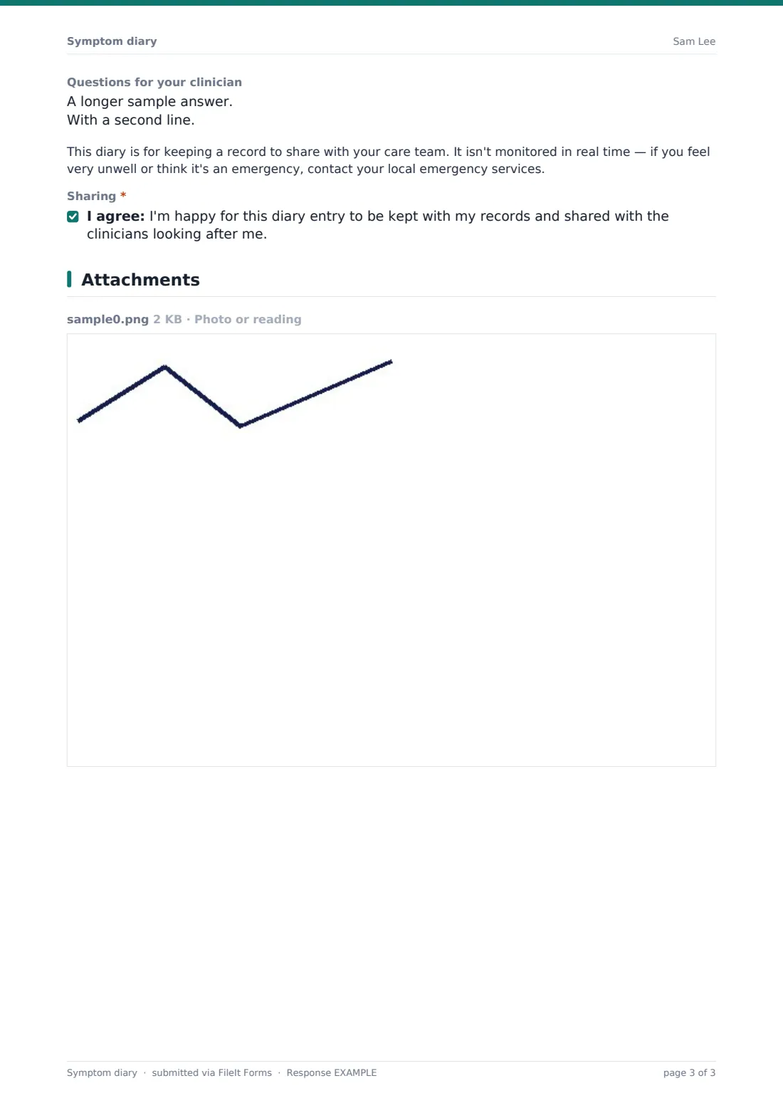 Symptom diary — example response PDF, page 3 of 3
