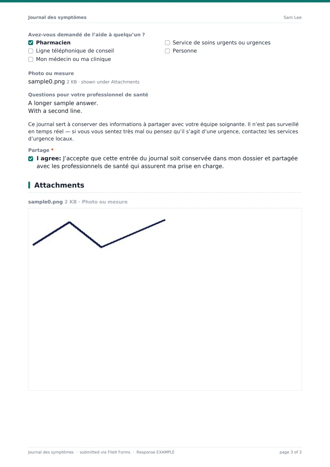 Journal des symptômes — exemple de réponse au format PDF, page 3 sur 3