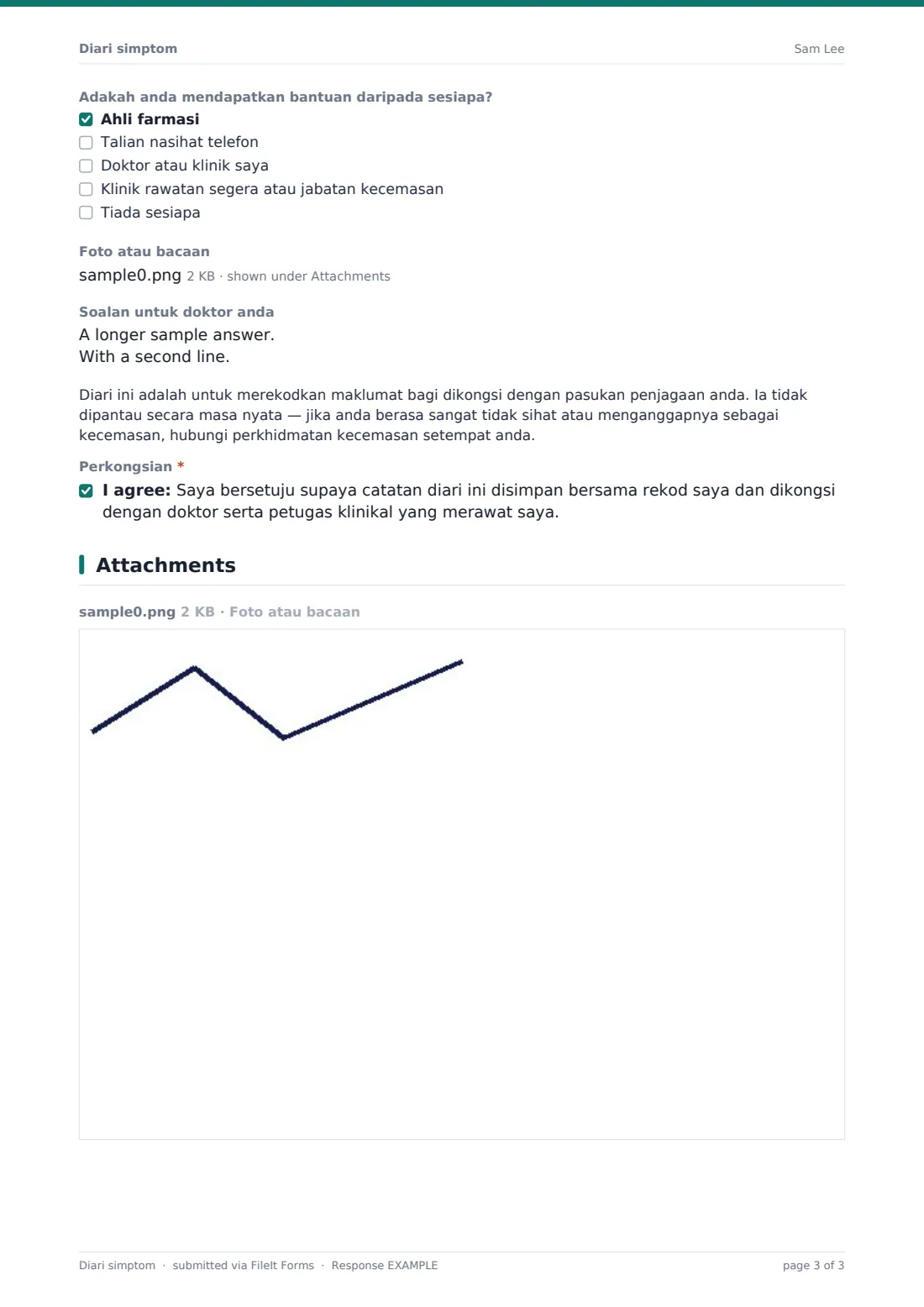 Diari simptom — PDF respons contoh, halaman 3 daripada 3