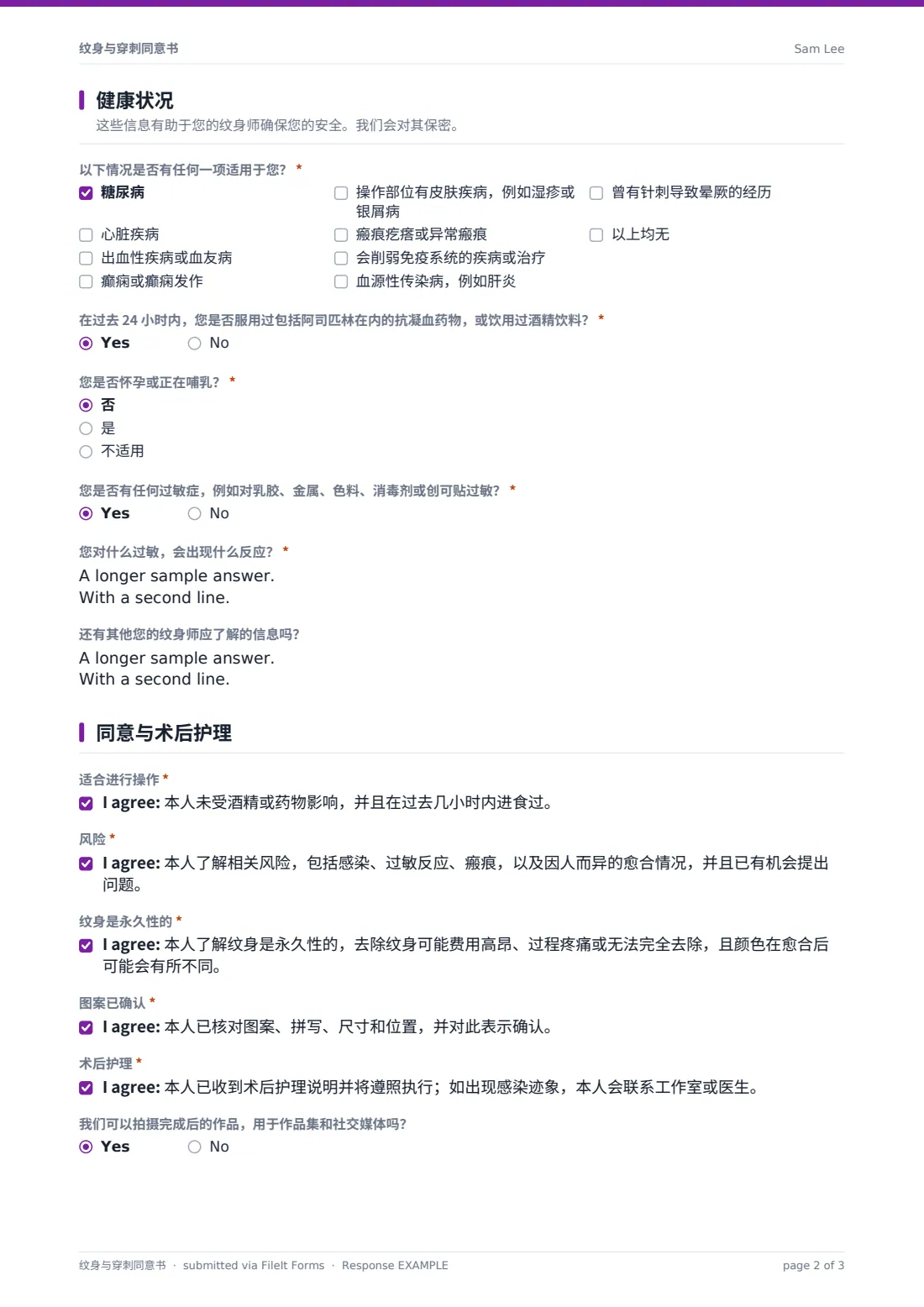 纹身与穿刺同意书 — 示例回复 PDF，第 2 页，共 3 页
