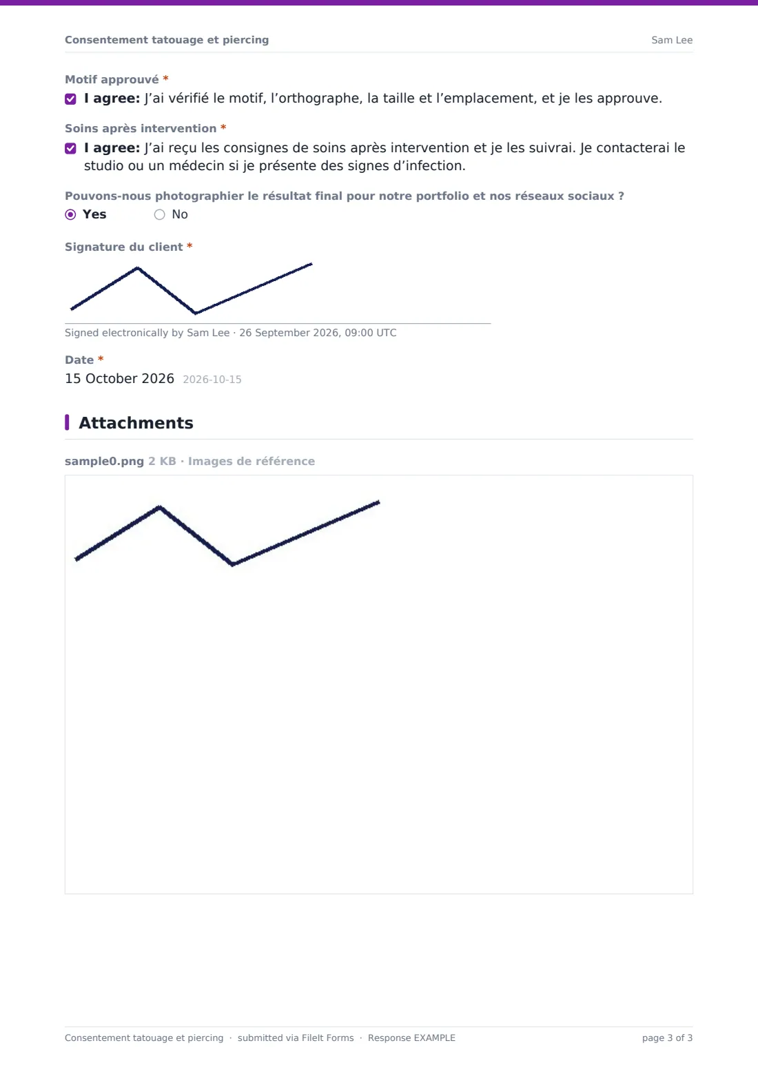 Consentement tatouage et piercing — exemple de réponse au format PDF, page 3 sur 3