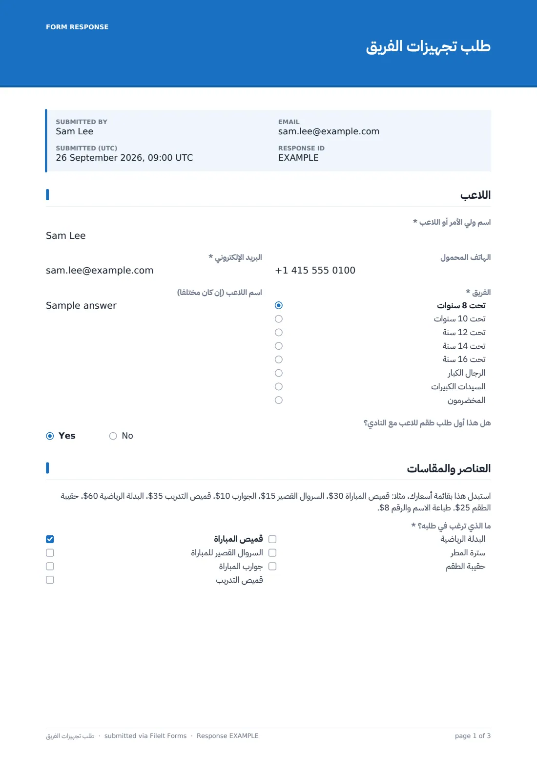 طلب تجهيزات الفريق — ملف PDF لرد نموذجي، الصفحة 1 من 3