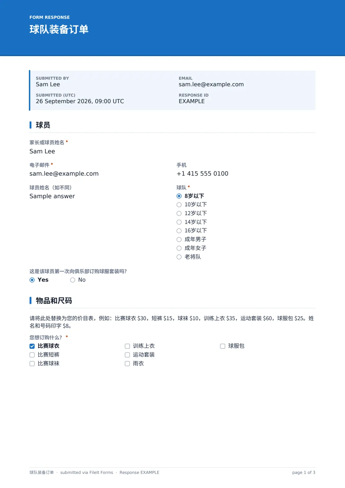 球队装备订单 — 示例回复 PDF，第 1 页，共 3 页