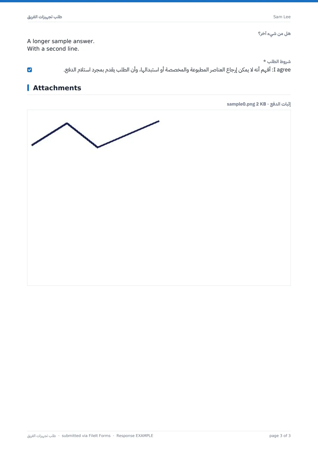 طلب تجهيزات الفريق — ملف PDF لرد نموذجي، الصفحة 3 من 3