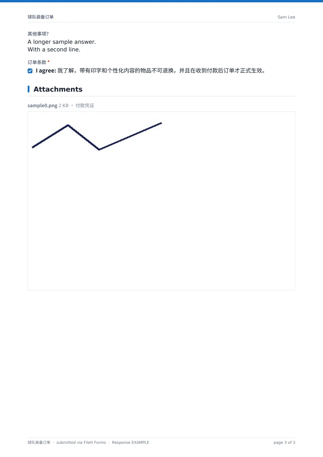球队装备订单 — 示例回复 PDF，第 3 页，共 3 页