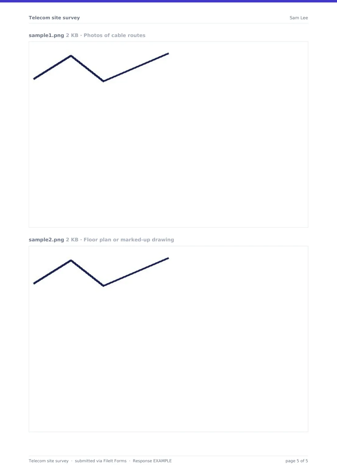 Telecom site survey — example response PDF, page 5 of 5