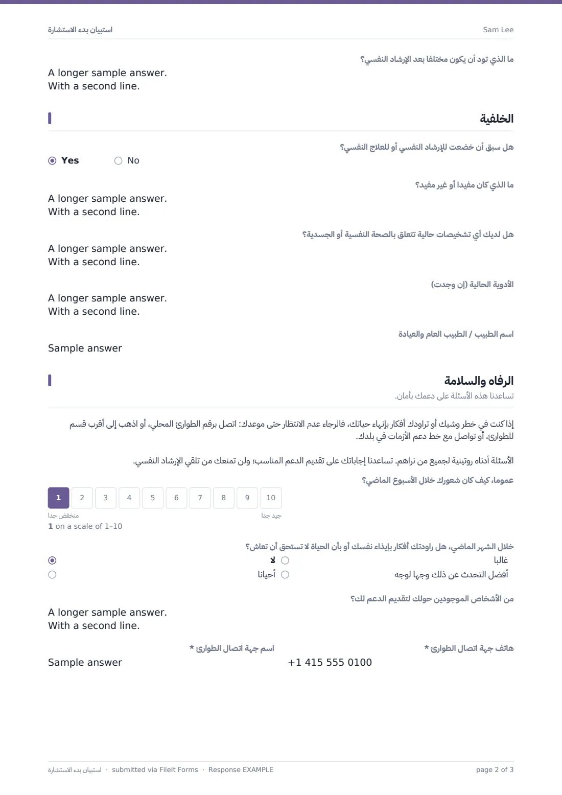 استبيان بدء الاستشارة — ملف PDF لرد نموذجي، الصفحة 2 من 3