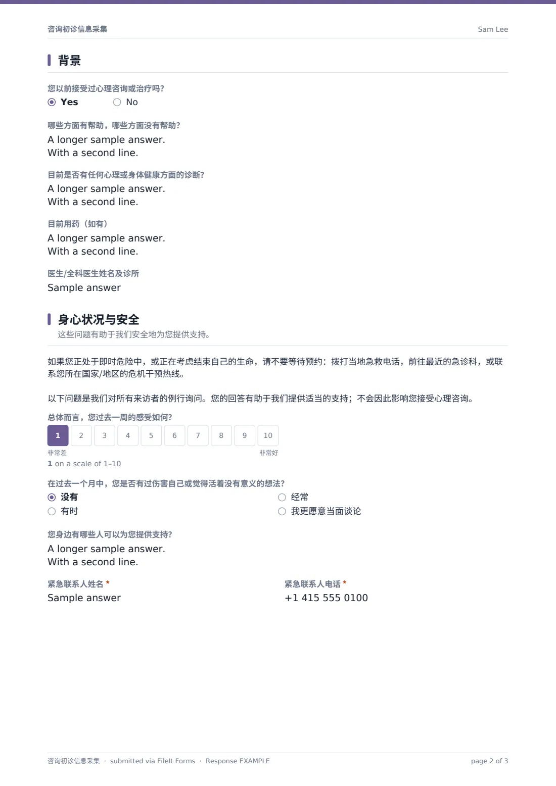 咨询初诊信息采集 — 示例回复 PDF，第 2 页，共 3 页
