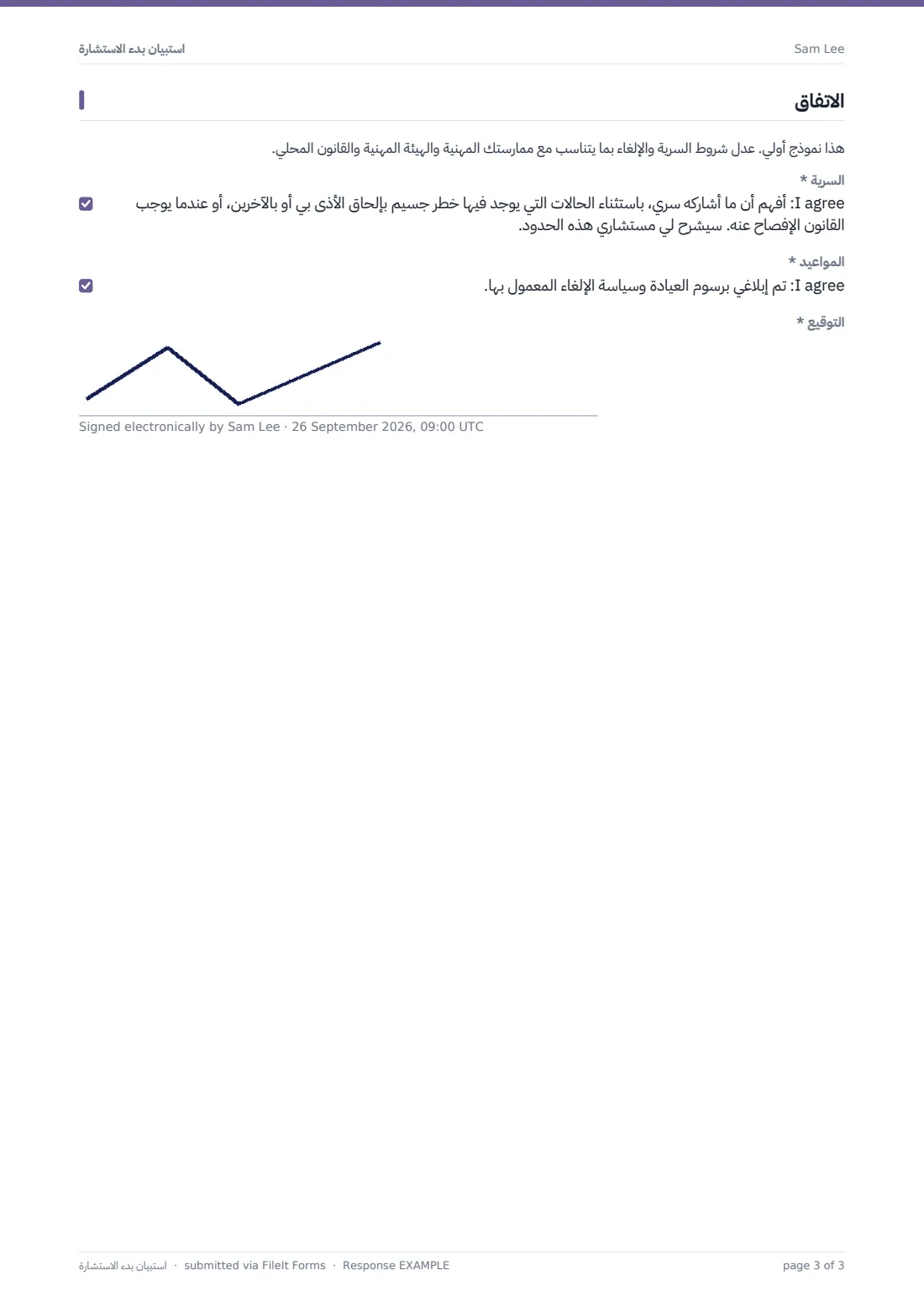 استبيان بدء الاستشارة — ملف PDF لرد نموذجي، الصفحة 3 من 3