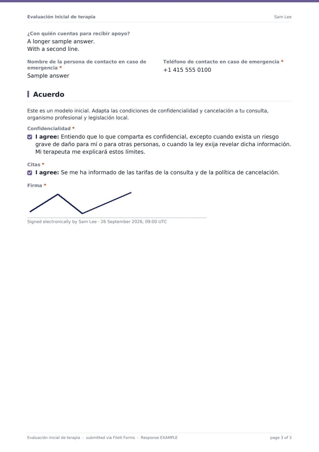 Evaluación inicial de terapia — PDF de respuesta de ejemplo, página 3 de 3