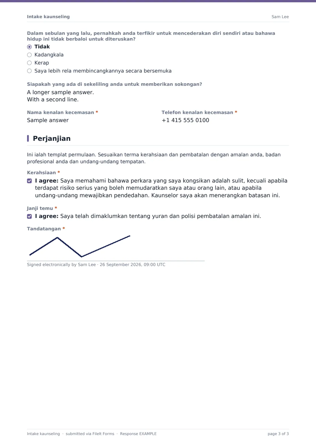 Intake kaunseling — PDF respons contoh, halaman 3 daripada 3