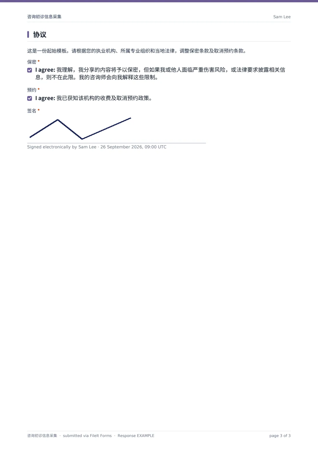 咨询初诊信息采集 — 示例回复 PDF，第 3 页，共 3 页