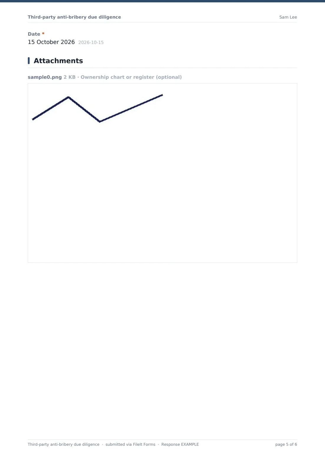 Third-party anti-bribery due diligence — example response PDF, page 5 of 6