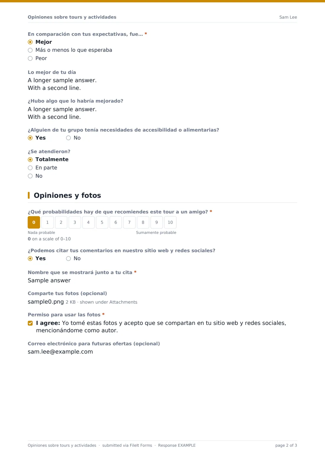 Opiniones sobre tours y actividades — PDF de respuesta de ejemplo, página 2 de 3