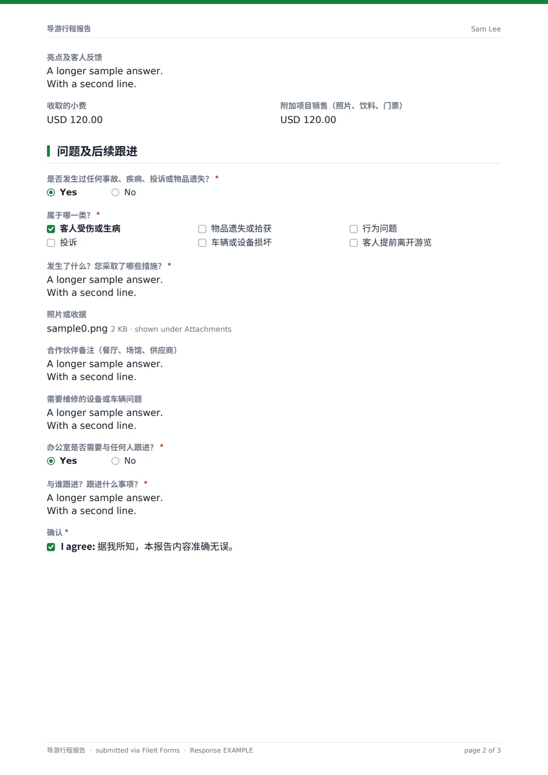 导游行程报告 — 示例回复 PDF，第 2 页，共 3 页