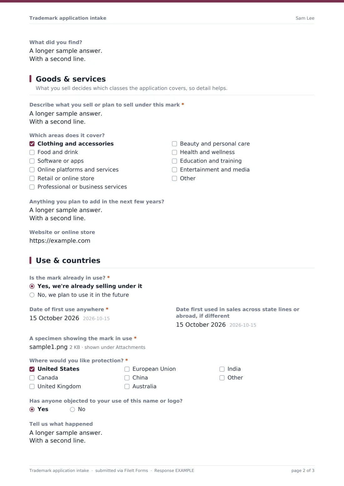 Trademark application intake — example response PDF, page 2 of 3