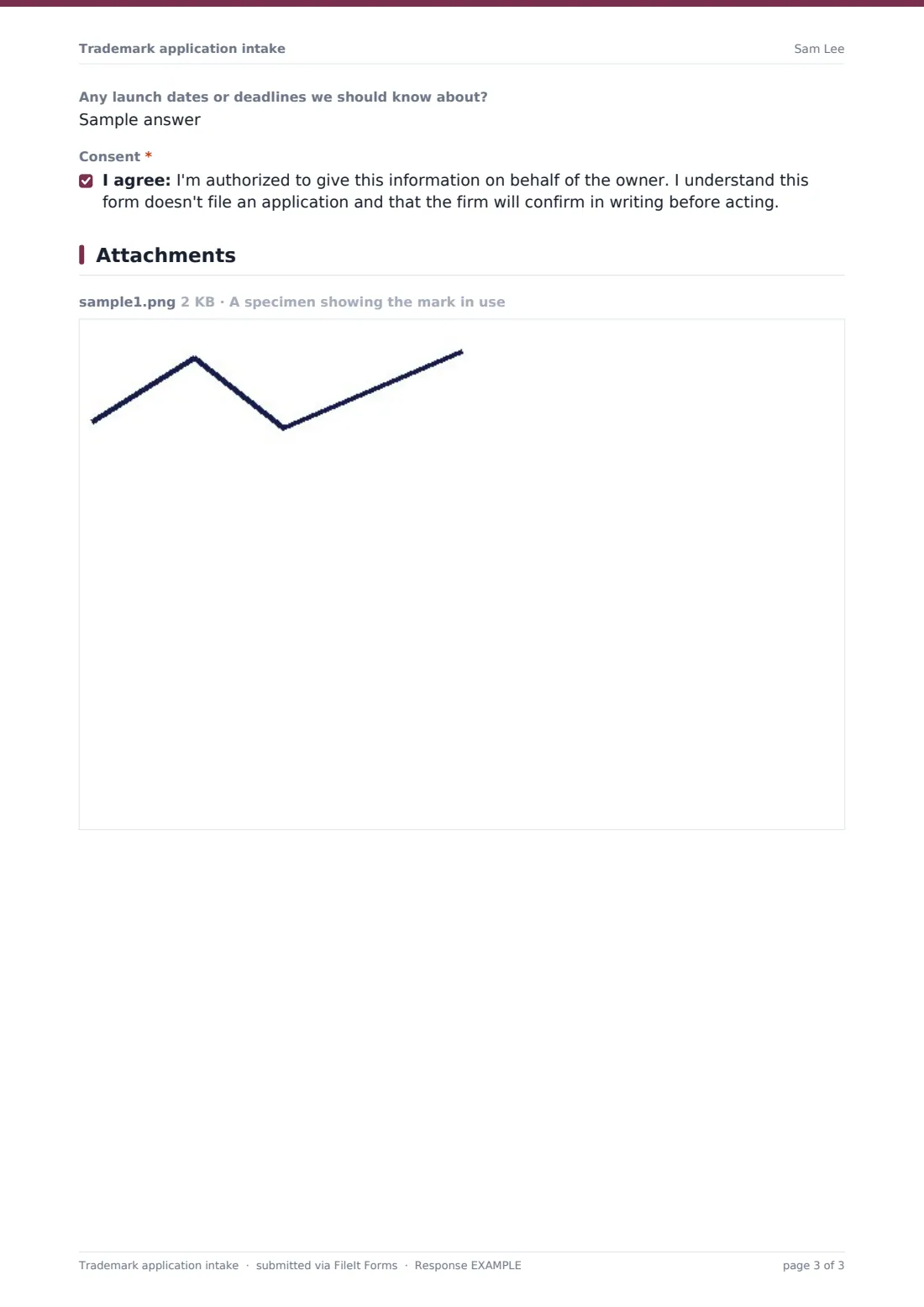 Trademark application intake — example response PDF, page 3 of 3
