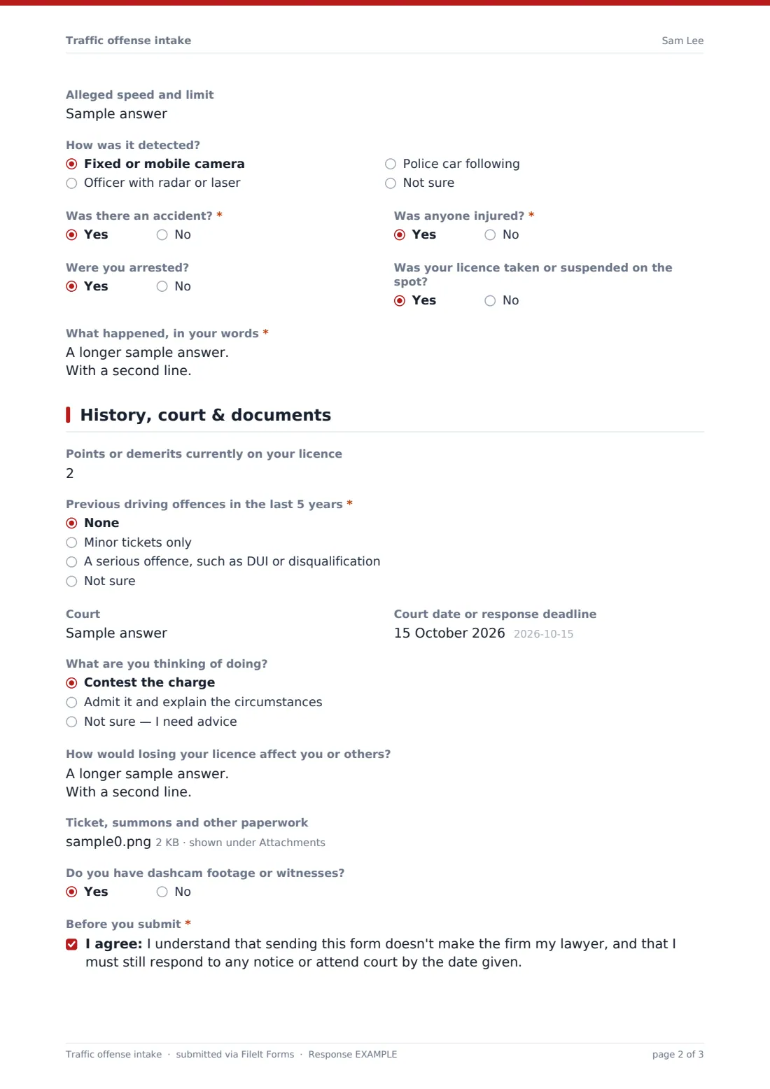 Traffic offense intake — example response PDF, page 2 of 3