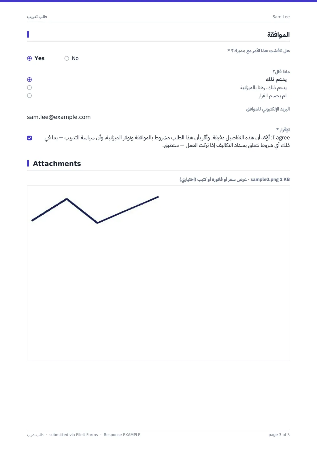 طلب تدريب — ملف PDF لرد نموذجي، الصفحة 3 من 3