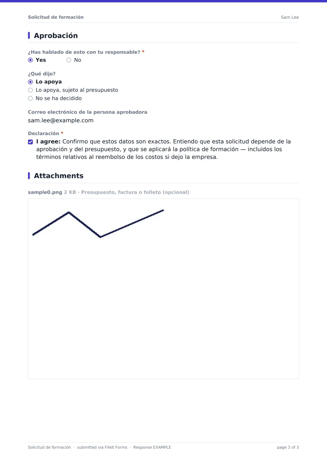 Solicitud de formación — PDF de respuesta de ejemplo, página 3 de 3