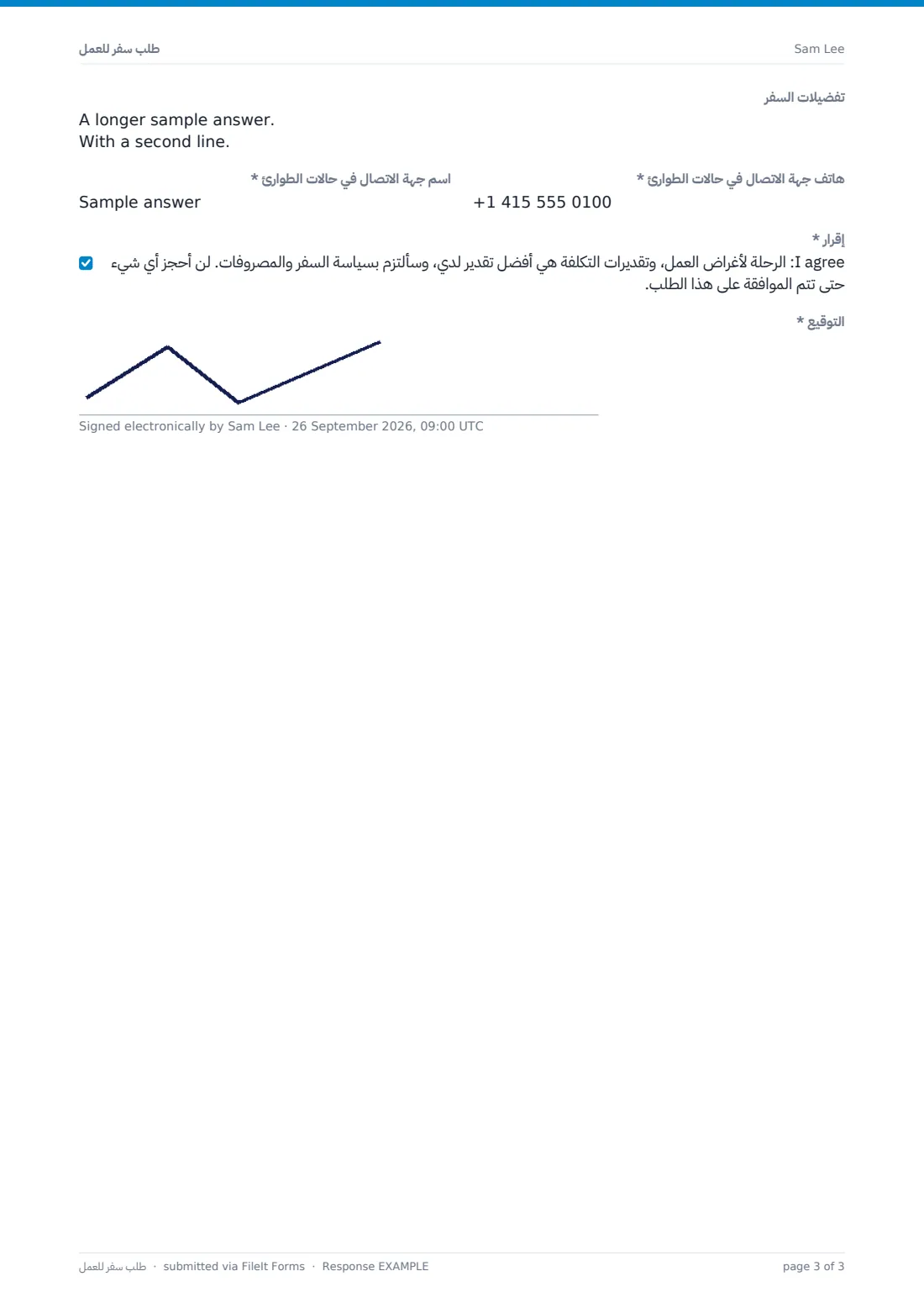 طلب سفر للعمل — ملف PDF لرد نموذجي، الصفحة 3 من 3
