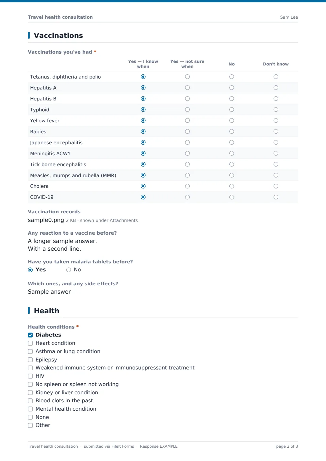 Travel health consultation — example response PDF, page 2 of 3