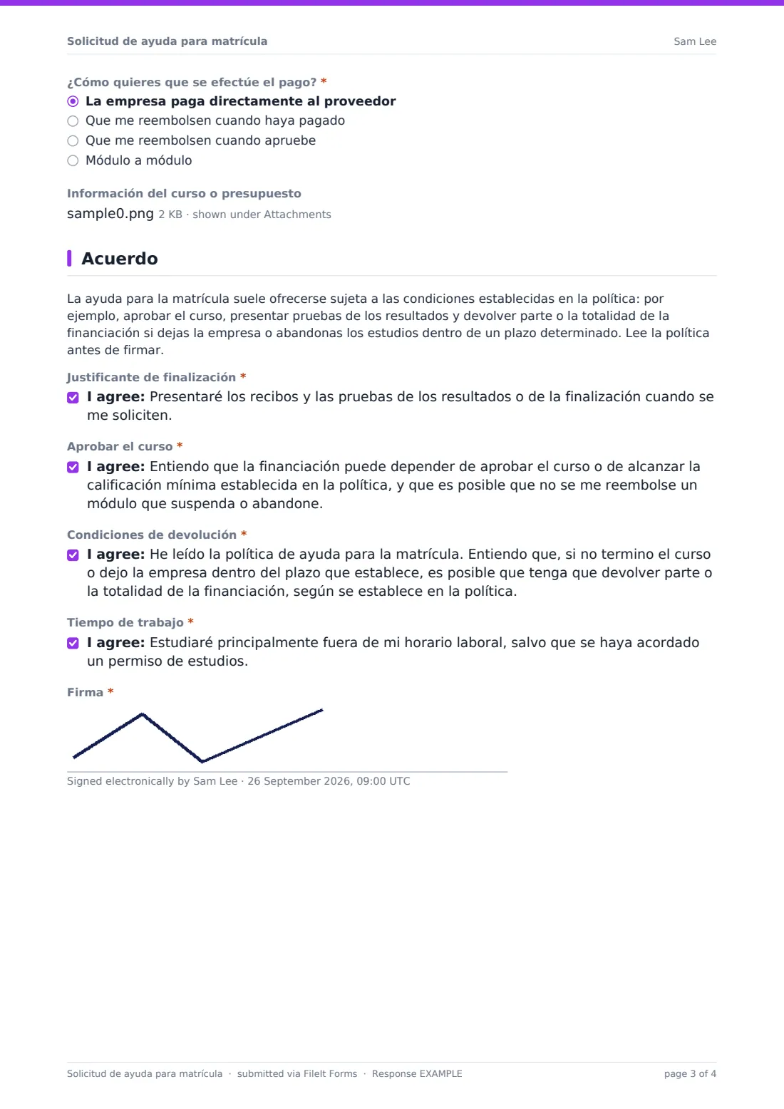 Solicitud de ayuda para matrícula — PDF de respuesta de ejemplo, página 3 de 4
