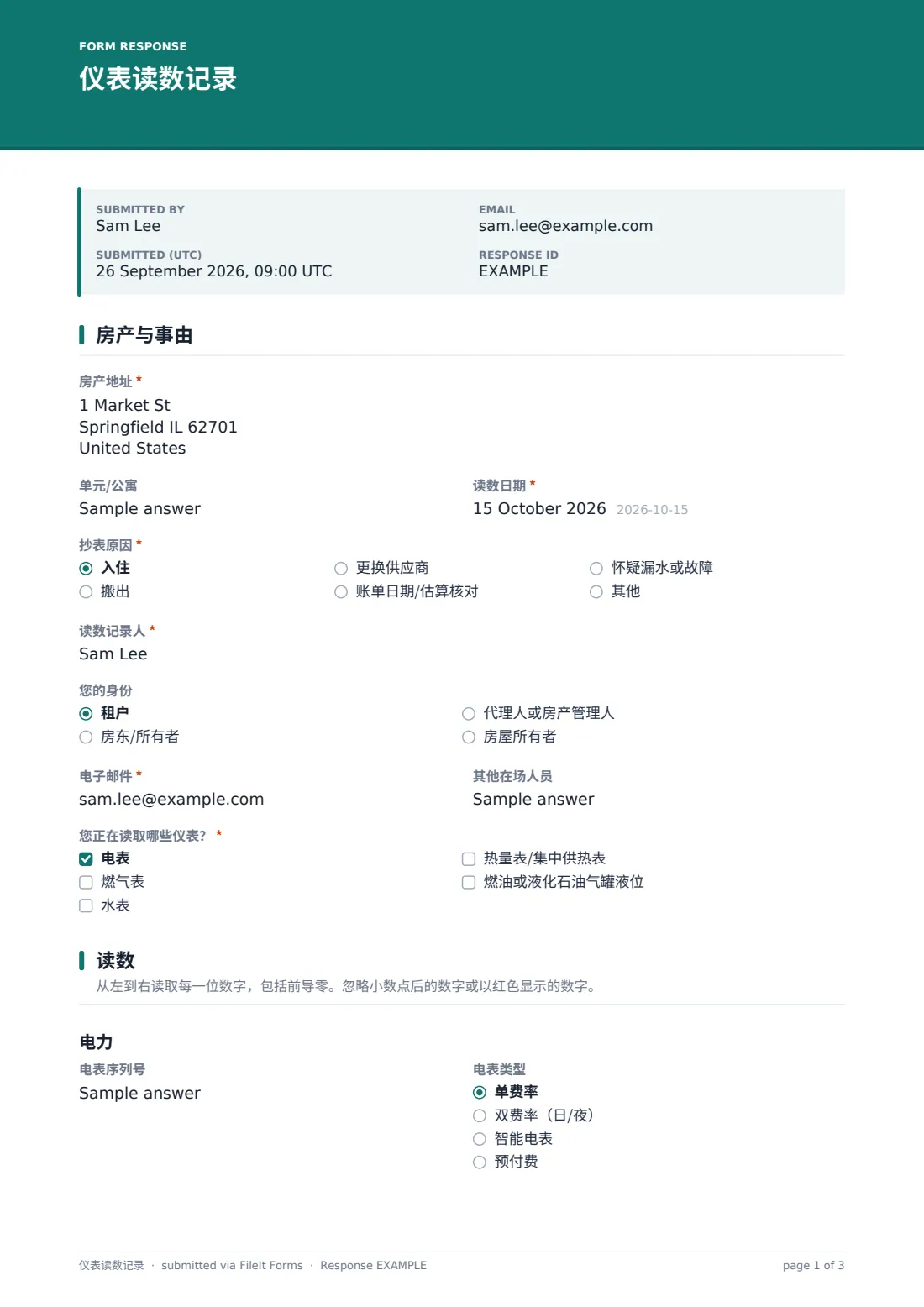 仪表读数记录 — 示例回复 PDF，第 1 页，共 3 页