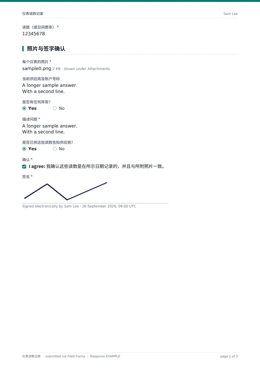 仪表读数记录 — 示例回复 PDF，第 2 页，共 3 页