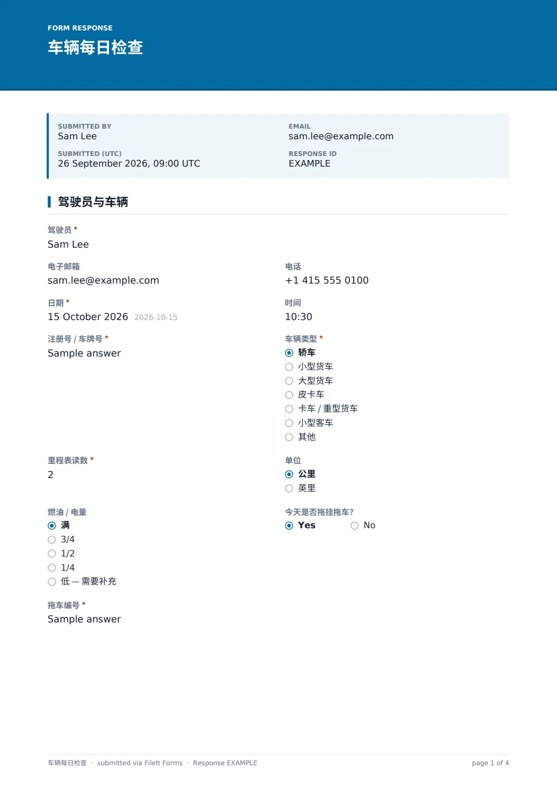 车辆每日检查 — 示例回复 PDF，第 1 页，共 4 页