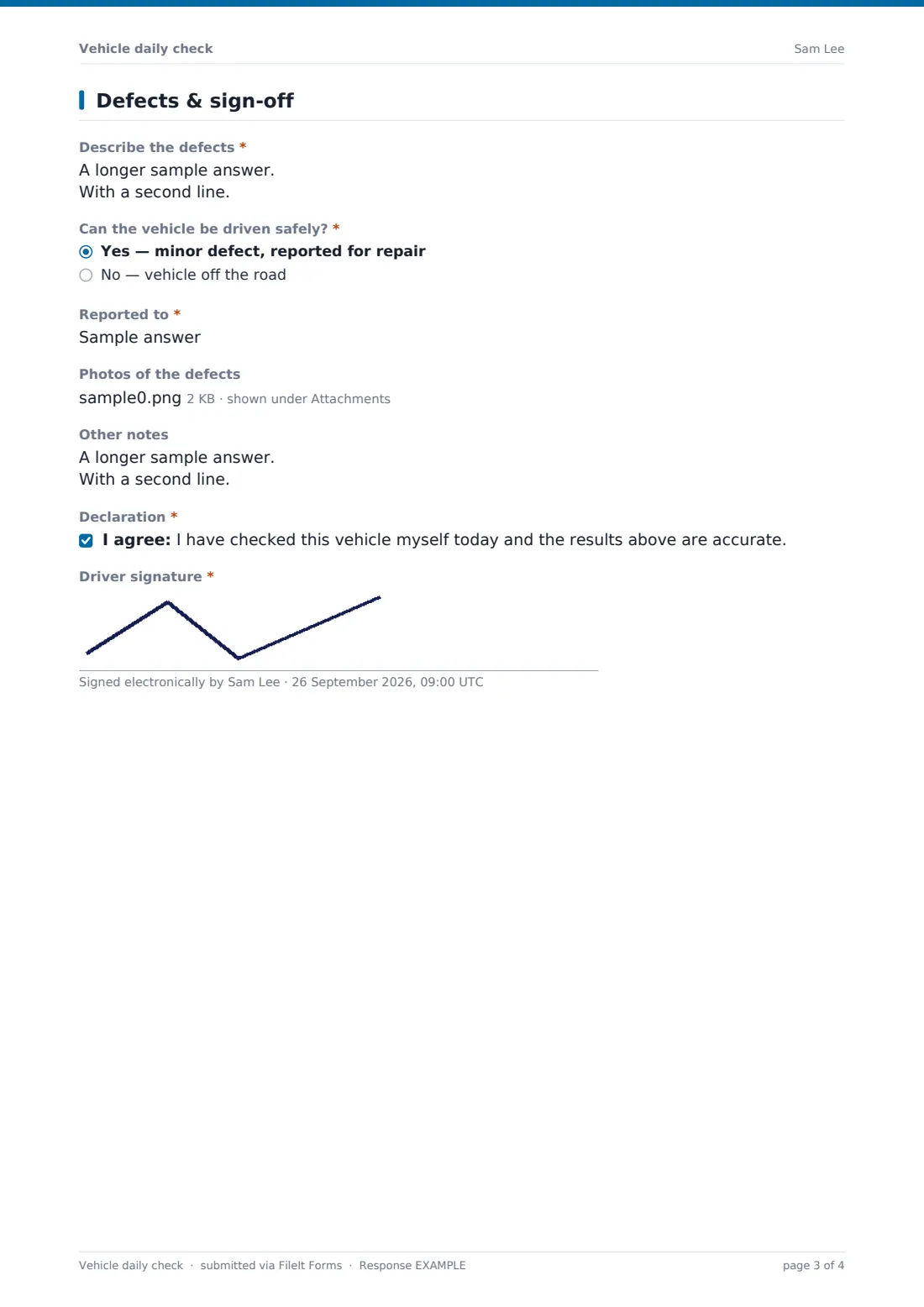 Vehicle daily check — example response PDF, page 3 of 4